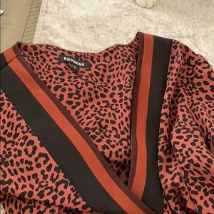 Express Elegant Vneck Shirt